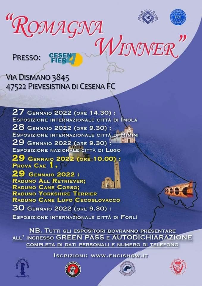 Expo Romagna Winner