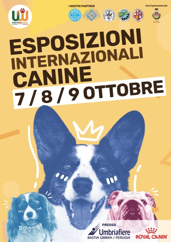 Esposizioni Internazionali Canine - 07/08/09 Ottobre 2022
