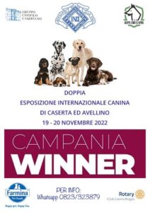 Campania Winner - 19/20 Novembre 2022