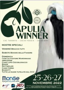 Apulia Winner - 25/26/27 Novembre 2022