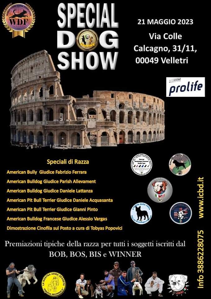 Special Dog Show - 21 Maggio 2023