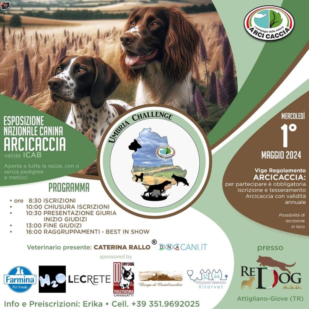 Esposizione Nazionale Canina Arcicaccia - 01 Maggio 2024